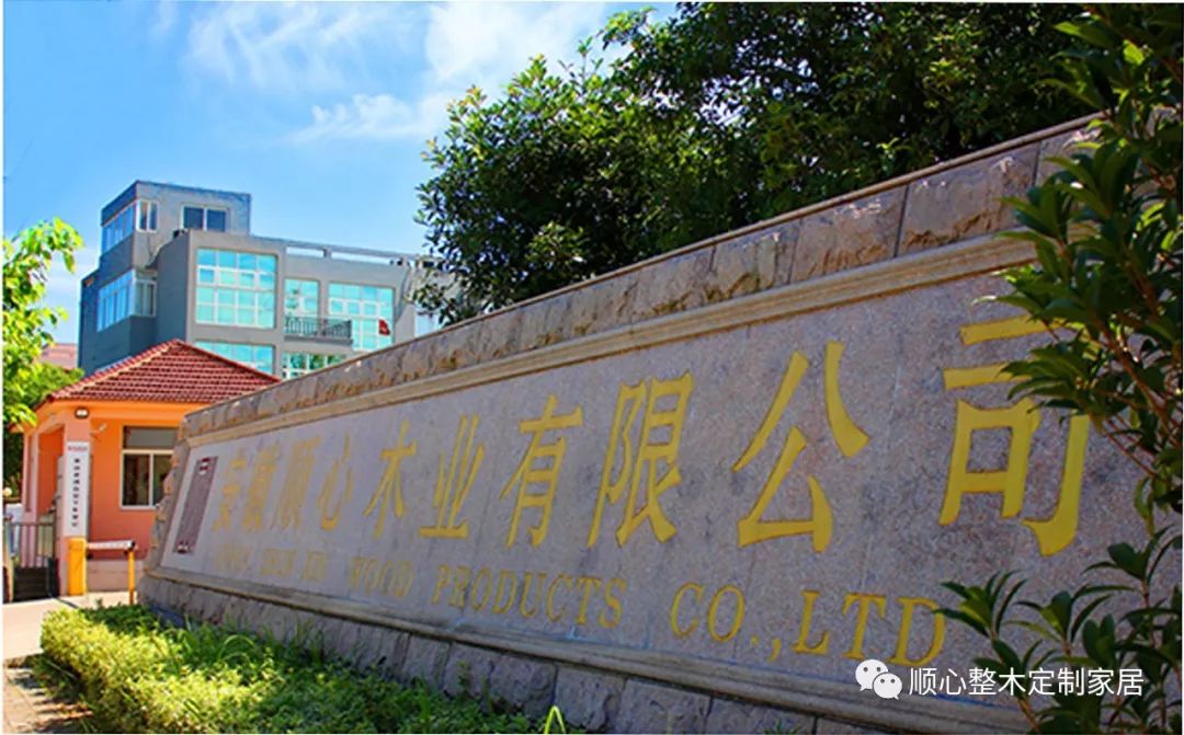 顺心整木家居董义成获国际“铁人三项”良好成绩