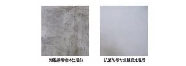 南京壁虎：基膜类型这么多如何正确挑选比较好的基膜