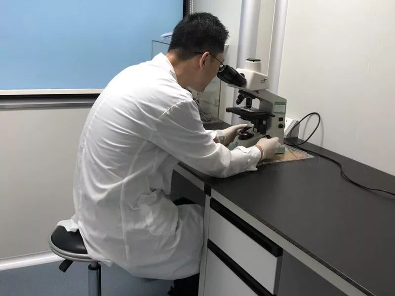 雅洁抗菌智能锁与专业微生物检测机构共建抗菌实验室