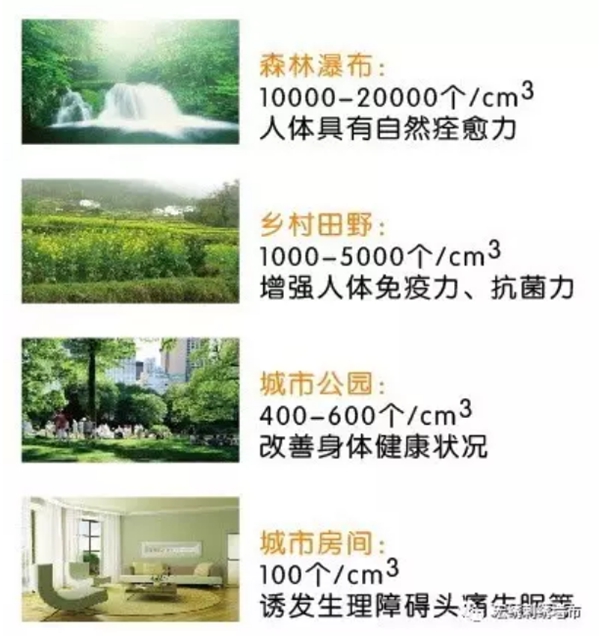宏绣刺绣墙布告诉你什么是生态负氧离子的标准