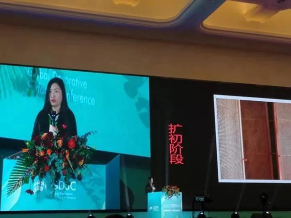 2019GDSC全球饰面大会在江苏常州圆满落幕 2019GDSC全球饰面大会在江苏常州圆满落幕