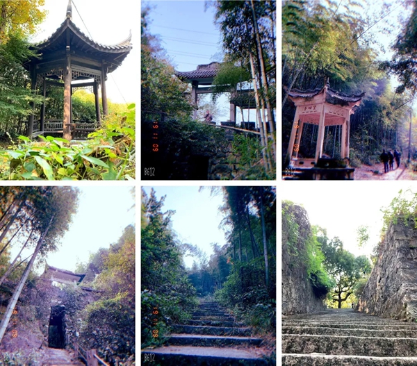 米兰壁纸·墙布2019莫干山休闲之旅完美收官