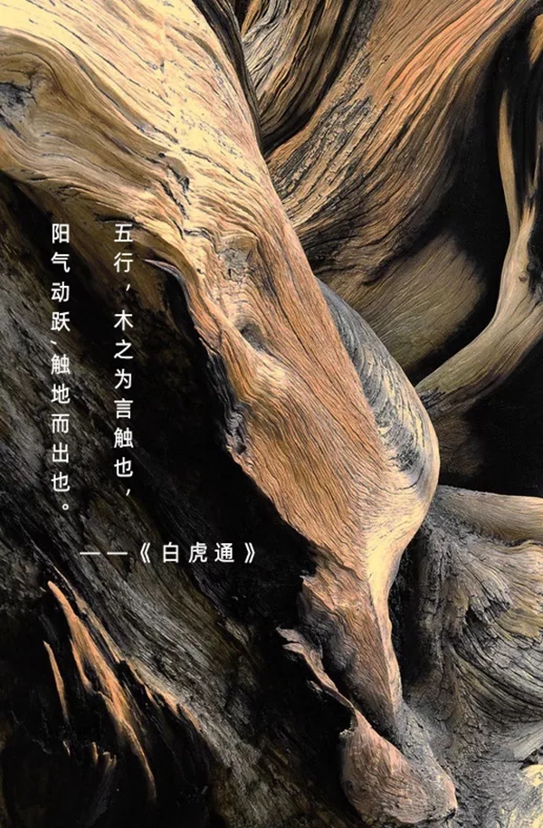 润成创展将在广州国际设计周上重新诠释门的定义美