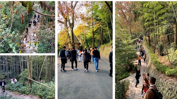 米兰壁纸·墙布2019莫干山休闲之旅完美收官