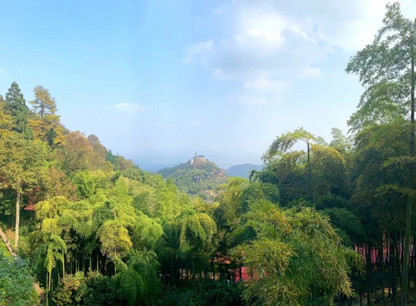 米兰壁纸·墙布2019莫干山休闲之旅完美收官