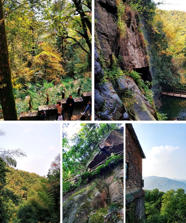米兰壁纸·墙布2019莫干山休闲之旅完美收官