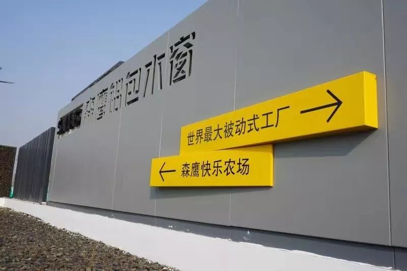 森鹰窗业董事长边书平 再谈组织变革与五个引领