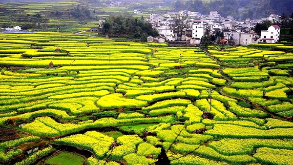 米兰壁纸·墙布2019莫干山休闲之旅完美收官