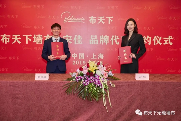 布天下无缝墙布品牌战略升级 新增品牌形象代言宋佳女士