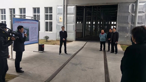 泗阳县委领导莅临金迪木门泗阳生产基地视察指导