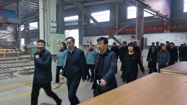 泗阳县委领导莅临金迪木门泗阳生产基地视察指导