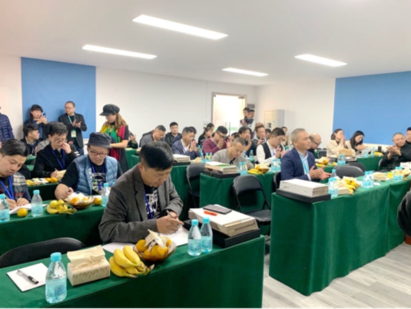 共探美好人居新生活|天湘板材饰面工程研讨交流会圆满举行！