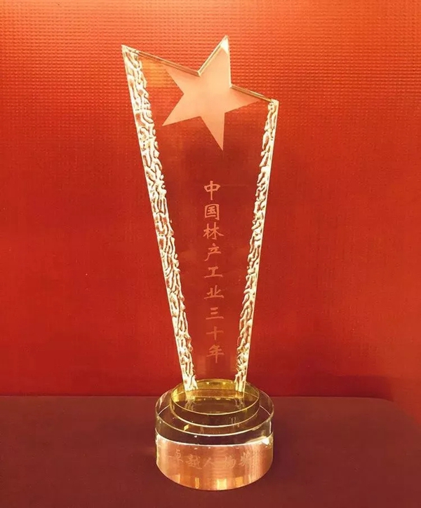 菲林格尔|德系全屋定制中国林产工业协会成立30周年表彰大会斩获三项殊荣