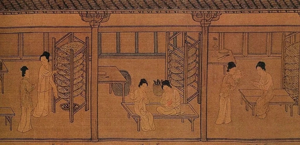 瓦科：天蚕丝系列 温暖柔软质地典雅