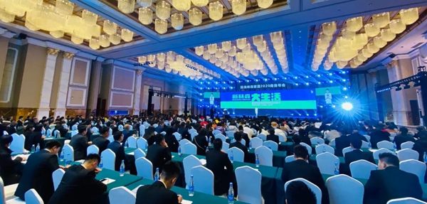 阳光林森家居2020商务年会荣耀落幕