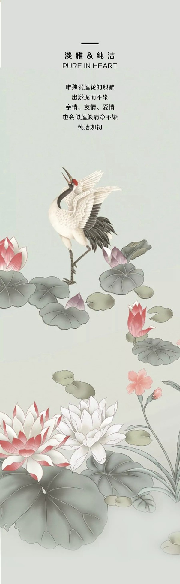 听诗TENS：以花之名 分享动人喜悦