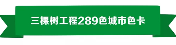 三棵树工程发布289色城市色卡为城市提供色彩解决方案