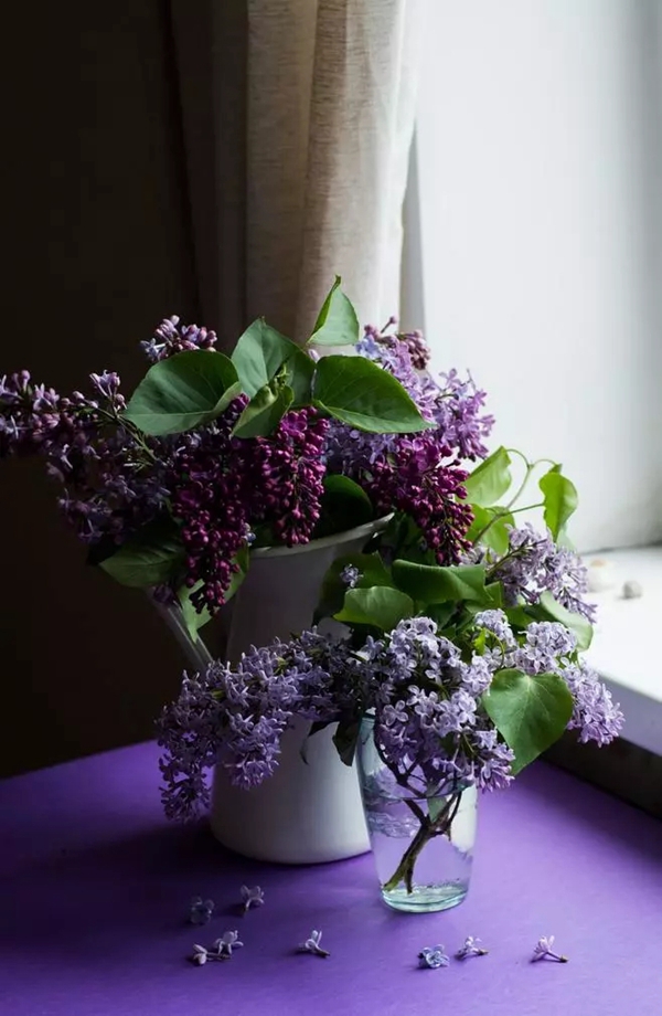 派克墙布:香芋紫 迷幻而高雅的仙境之感 派克墙布:香芋紫 迷幻而高雅的仙境之感
