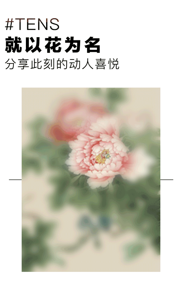 听诗TENS：以花之名 分享动人喜悦