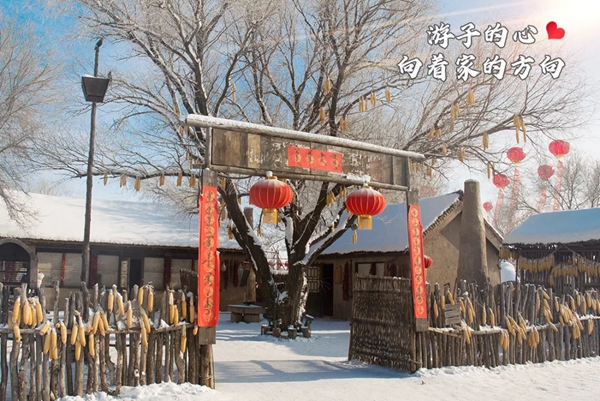和平特辑:回家团圆喽 那里有最亲最爱的人在等你