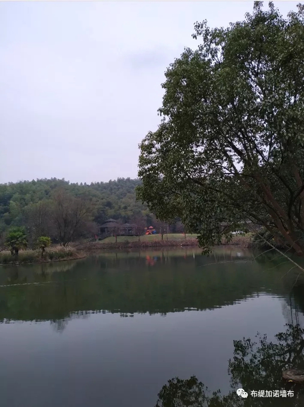 布缇加诺墙布团建活动 燃起梦想的激情