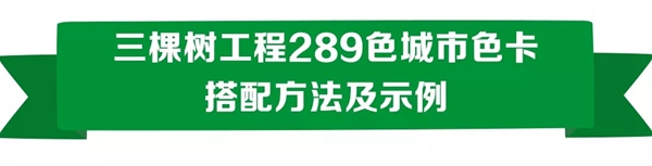 三棵树工程发布289色城市色卡为城市提供色彩解决方案