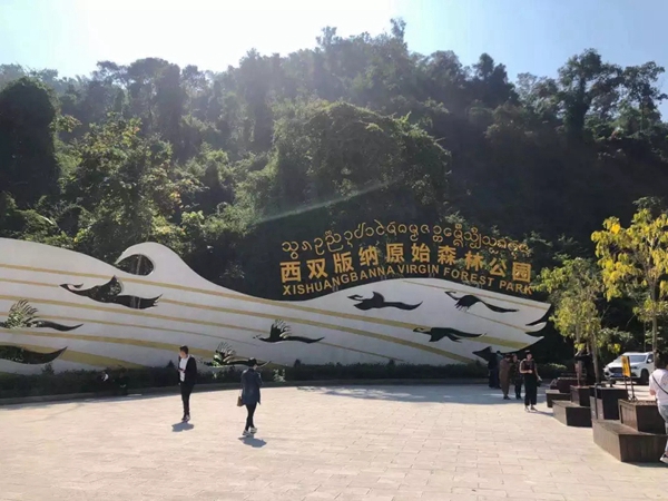 雕刻空间窗帘2019年度优秀经销商大会完美收官