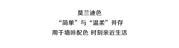 听诗TENS：莫兰迪色映在家中