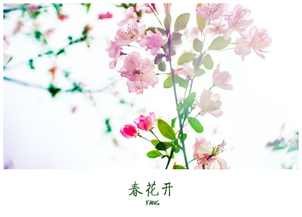 复工在即,你准备好了么?