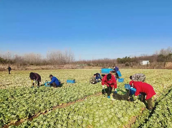 金鹏控股集团奋力夺取“双胜利“ 疫情防控 复工复产