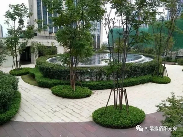 杜鹃壹佰阳光房设计分享 | 采光井靓丽的一道风景