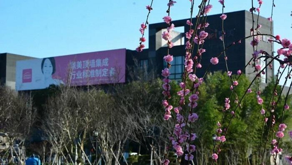 鼎美开工啦