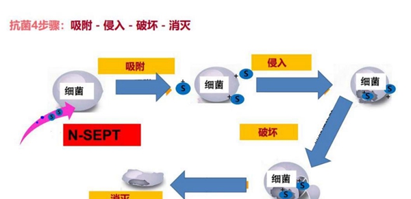 新标木门创新思路迎战疫情 同心聚力共克时艰