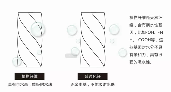 派克墙布：家居防潮防霉 你必要的选择