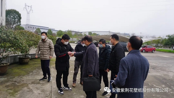 紫荆花壁纸迎来金涛书记率队莅临调研