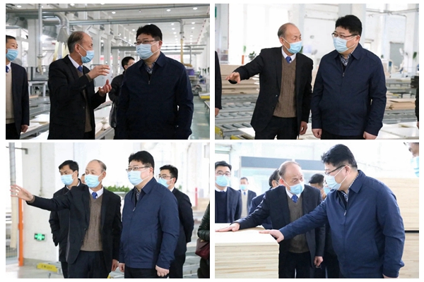 云峰迎来浙江省林业局胡侠局长一行莅临调研指导