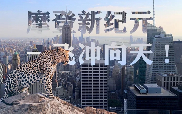摩登野兽墙布营销中心乔迁至杭州IFC 即刻开启摩登新征程