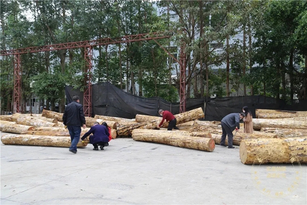 豪利整木定制董事长杜延金:为原木赋予文化,让原木为文化传承