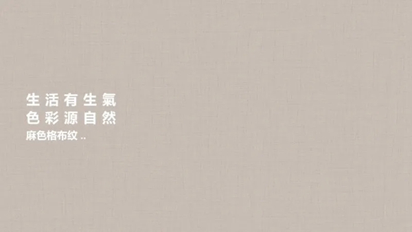 亚丹家居4月钜惠暴风来袭