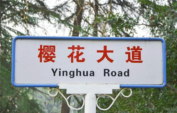 宏绣墙布新品上线，愿满墙春意，带着春信，寄给你一个盎然的春天。