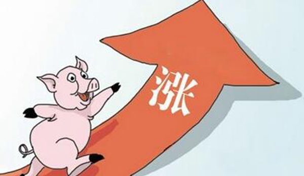 慧亚家居热线黄金荣：猪肉价格上涨带来了什么影响？