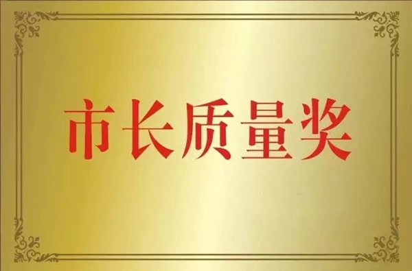 德鲁尼荣获2019年度“徐州市市长质量奖”！