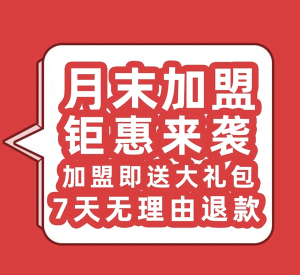 VISA高端定制软装品牌为何成为80、90后的加盟优选？
