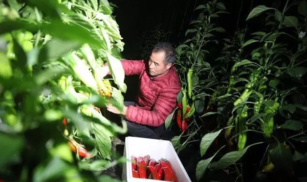 菲林格尔|德系全屋定制开启五一公益直播 传递寿光精神