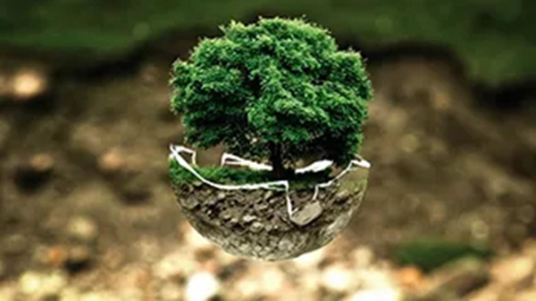 Earth Day | 珍爱地球,东朗•麦斯特与您共建美好家园!