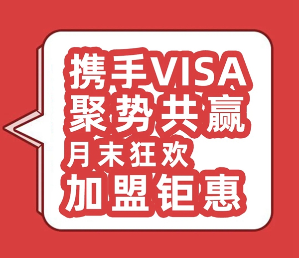 VISA高端定制软装品牌为何成为80、90后的加盟优选？