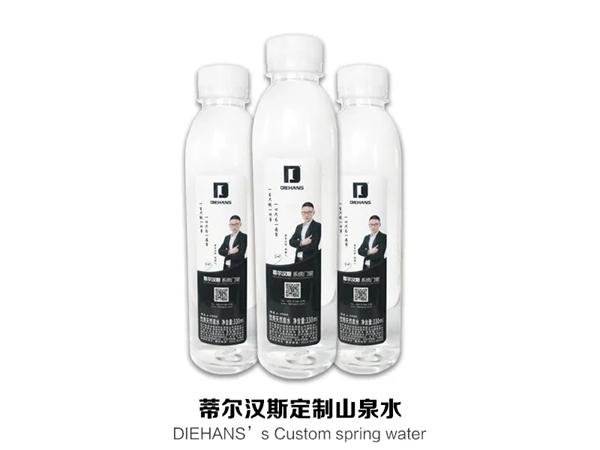 DIEHANS蒂尔汉斯定制服务，从每一处细节体现