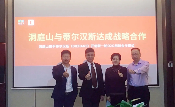 DIEHANS蒂尔汉斯定制服务，从每一处细节体现