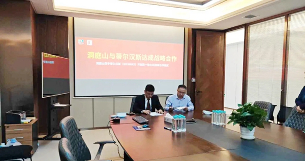 DIEHANS蒂尔汉斯定制服务，从每一处细节体现