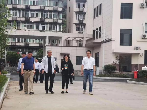 苔花家居欢迎新沂市常务副市长孙秀云莅临总部参观